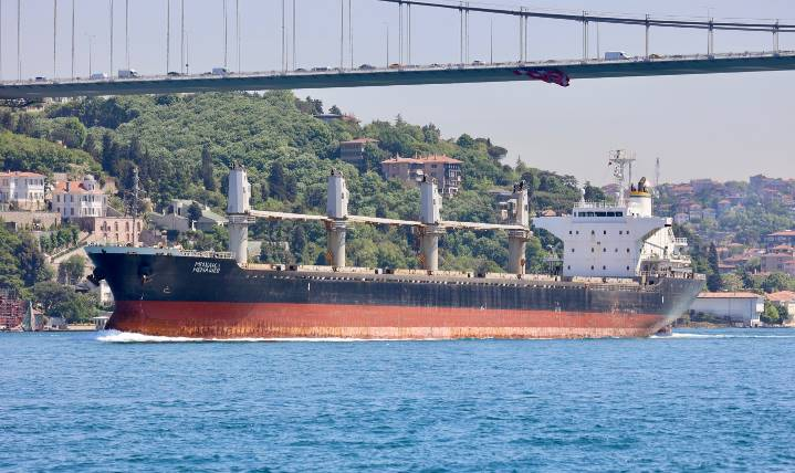 Delivery of wheat from Ukraine to Syria by the cargo ship “Mikhail Nenashev”